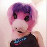 vicky_tart