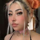 melkittykatt